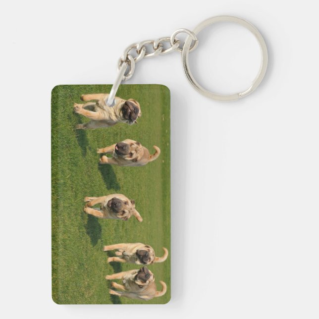 Llavero Cachorros juguetones de Shar Pei (Atrás)