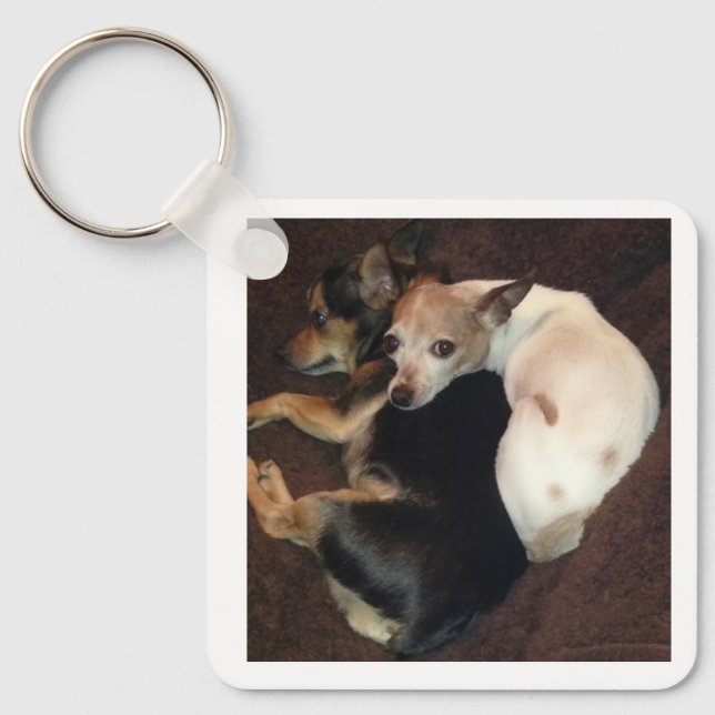 Llavero Cachorros y Arte (Anverso)