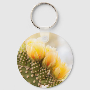 Llavero Cactus amarillos florecen en Arizona