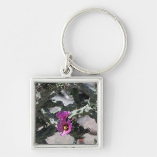 Llavero Cactus Cholla en flor