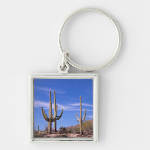 Llavero Cactus gigante de Saguaro multi brazeado, Saguaro