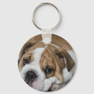 Llavero Cadena clave de Bulldog durmiente