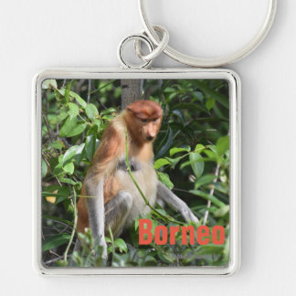 Llavero Cadena clave de mono de Borneo Proboscis
