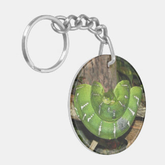 Llavero Cadena clave de serpiente de árbol esmeralda