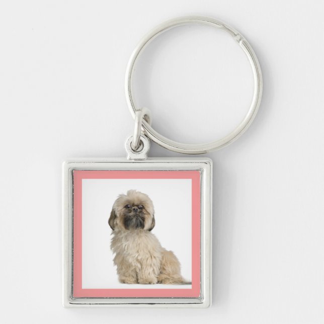Llavero Cadena clave del Personalizado de Perros Shih Tzu (Frente)