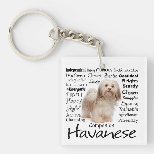 Llavero Cadena clave Havanese Trats (Frente)