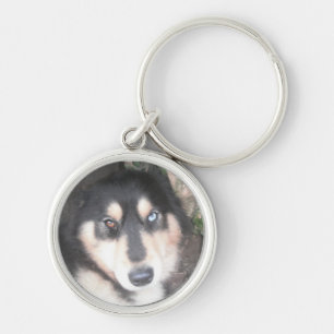 Llavero Cadena clave Husky Un Ojo Azul Un Ojo Marrón