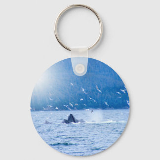 Llavero Cadena de clave de ballena de jorobada