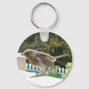 Llavero Cadena de clave Robin