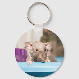 Llavero cadena de claves