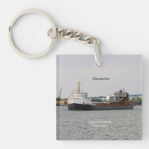 Llavero Cadena de claves algomarinas