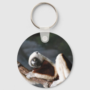 Llavero Cadena de claves Cute Sifaka Lemur