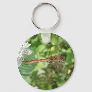 Llavero Cadena de claves Darter Dragonfly