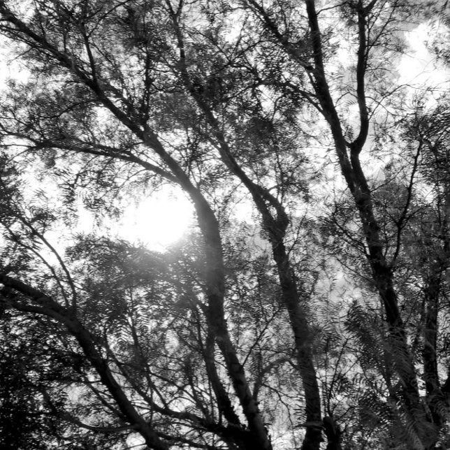 Llavero cadena de claves de ARTE Y DISEÑO (ART AND DESIGN ECO STYLE )