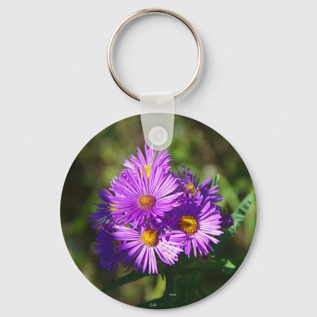 Llavero Cadena de claves de Aster (Anverso)