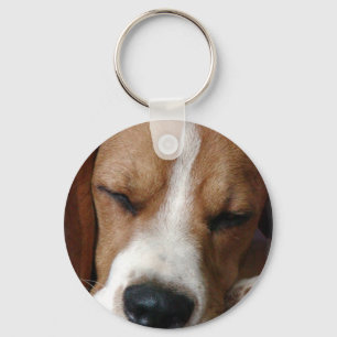 Llavero Cadena de claves de Beagle durmiente