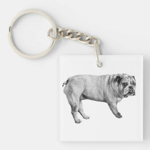 Llavero Cadena de claves de Bulldog de bolsillo