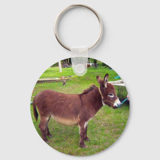 Llavero Cadena de claves de burro en miniatura
