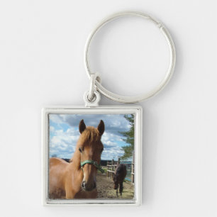 Llavero Cadena de claves de caballos