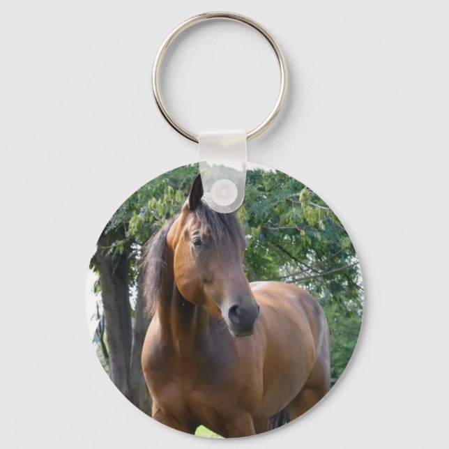 Llavero Cadena de claves de caballos de Bay Thoroughbred (Anverso)