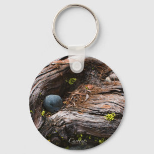 Llavero Cadena de claves de corrientes