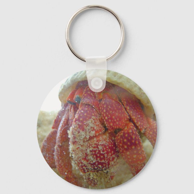 Llavero Cadena de claves de crab de fresa hermit (Anverso)