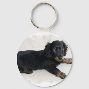Llavero Cadena de claves de Daschund Cute