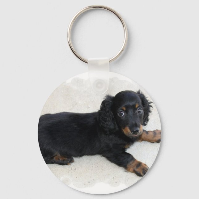 Llavero Cadena de claves de Daschund Cute (Anverso)