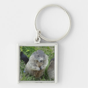 Llavero Cadena de claves de marmot