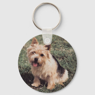Llavero Cadena de claves de Norwich Terrier
