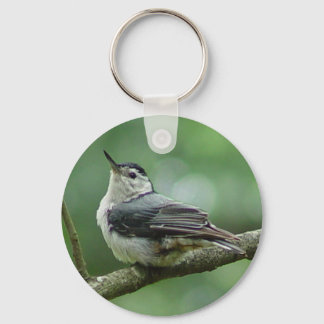 Llavero Cadena de claves de nuthatch de pechos blancos 2