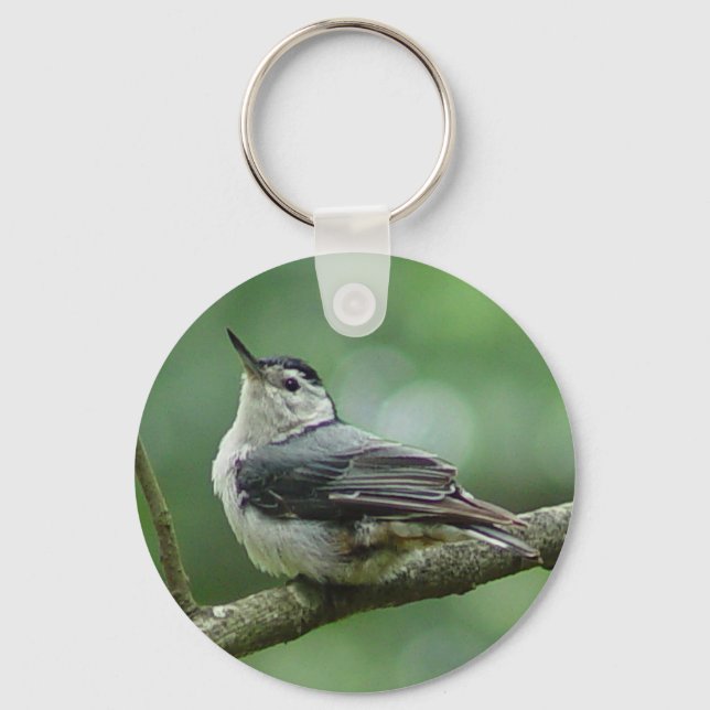 Llavero Cadena de claves de nuthatch de pechos blancos 2 (Anverso)