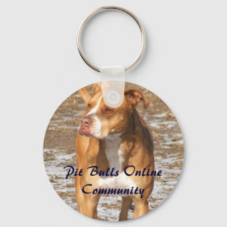 Llavero Cadena de claves de PBOC