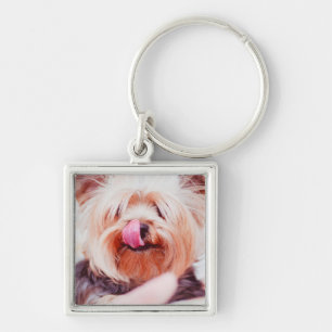 Llavero Cadena de claves de perro de cuta 8