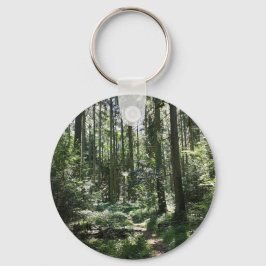 Llavero cadena de claves de ruta de hadas