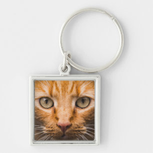 Llavero Cadena de claves de Starling Cat