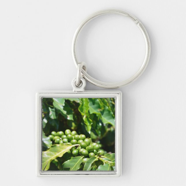 Llavero Cadena de claves Green Coffee Berries (Frente)