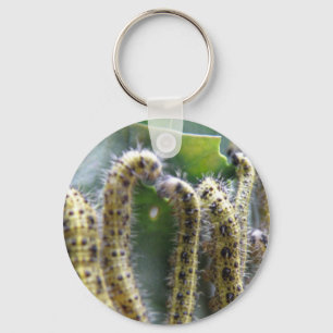 Llavero Cadena de claves Hunbage Cabbage White Caterpillar