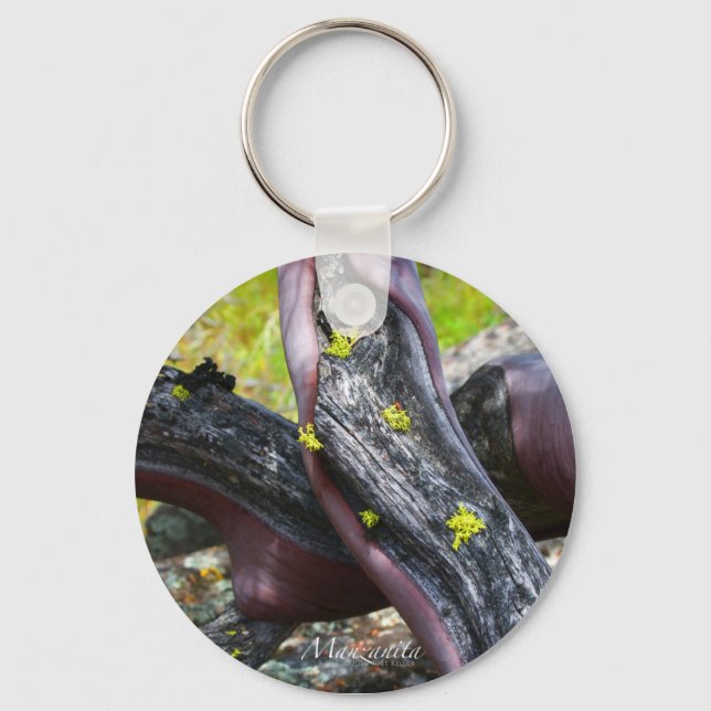 Llavero Cadena de claves Manzanita (Anverso)