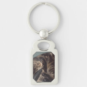 Llavero Cadena de claves Metalizado de Dave Rectangle lúdi