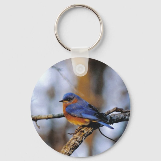Llavero Cadena de claves Missouris Bird (Anverso)