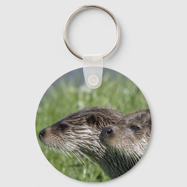 Llavero Cadena de claves Otter (Anverso)