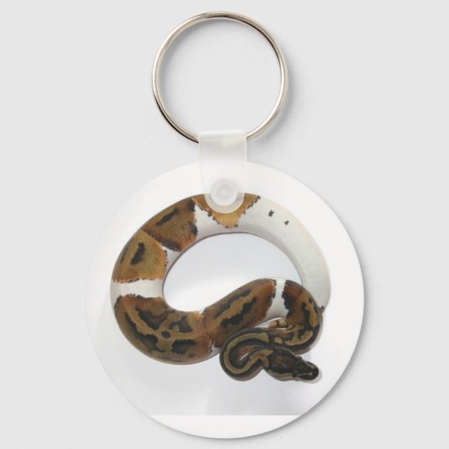Llavero cadena de claves piebald ball python (Anverso)
