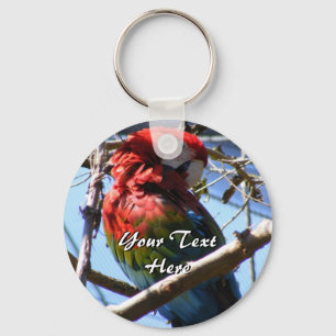 Llavero Cadena de claves Red and Gold Macaw