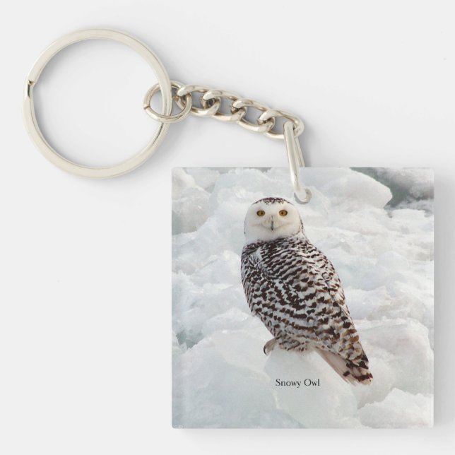 Llavero Cadena de claves Snowy Owl (Frente)