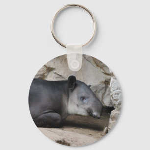 Llavero Cadena de claves Tapir de Baird