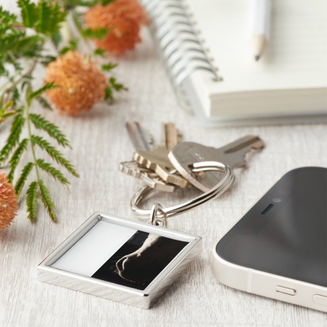 Llavero Cadena de la llave de agua (Lado)