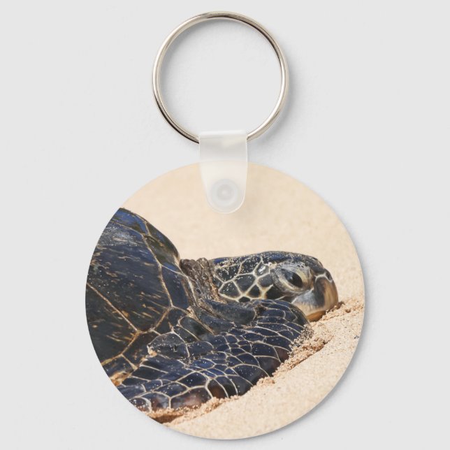 Llavero Cadena de llave de tortuga de Maui (Anverso)