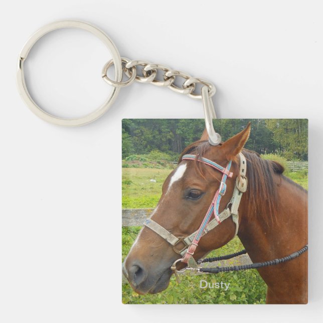 Llavero Cadena de llaves de caballo y búho (Frente)