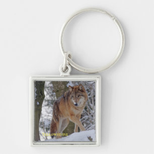 Llavero Cadena de llaves del lobo de Yellowstone